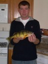 Perch